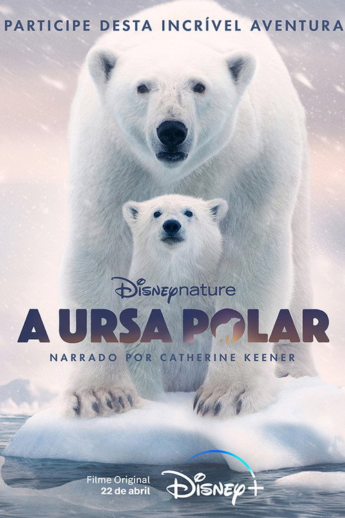 Polar Bear poster