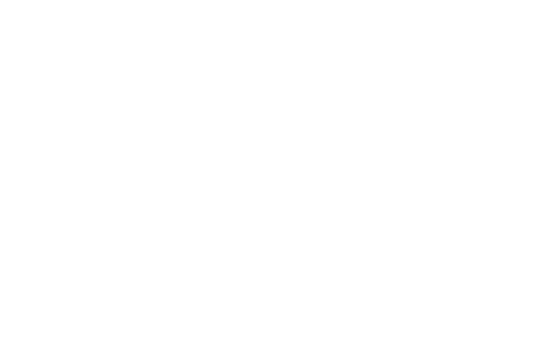 The Crow Girl