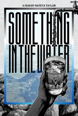 Something in the Water poster
