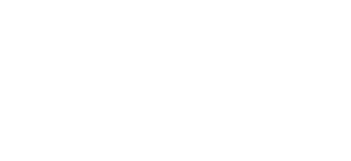 고백을 못하고