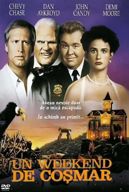 Poster pentru Nothing but Trouble