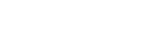 Marcel the Shell with Shoes On
