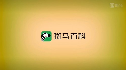 斑马百科