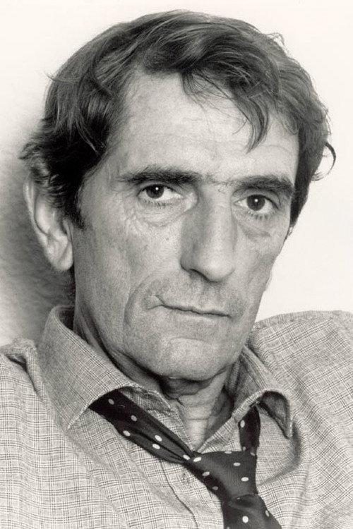 Kép: Harry Dean Stanton színész profilképe