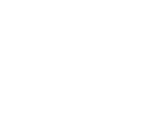 Echo Boomers