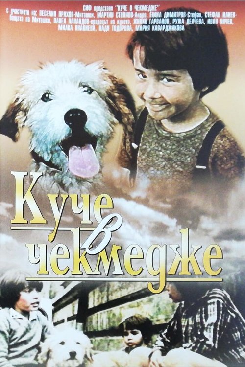 Куче в чекмедже movie poster player
