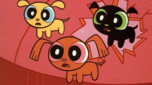 Poster della serie The Powerpuff Girls