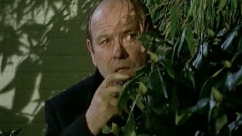 Image de l'épisode 12