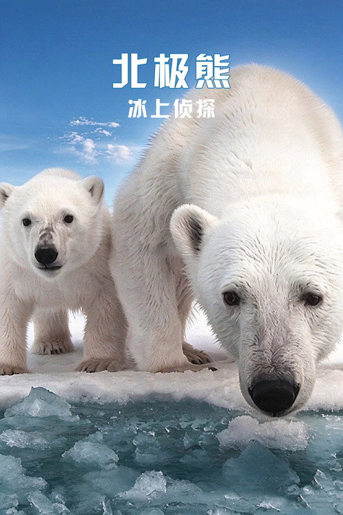 北极熊：冰上侦探 / Polar Bears: Spy on the Ice