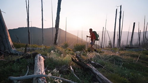 THRU: The Pacific Northwest