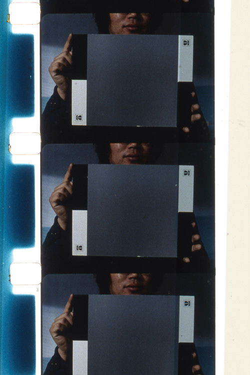 배우에 관한 역설