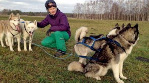 So weit die Huskys laufen (1) still