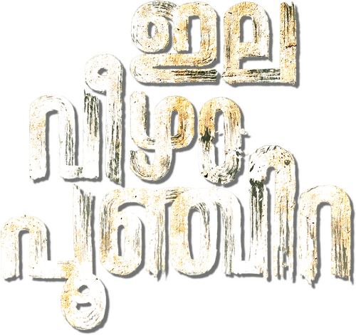 ഇലവീഴാപൂഞ്ചിറ