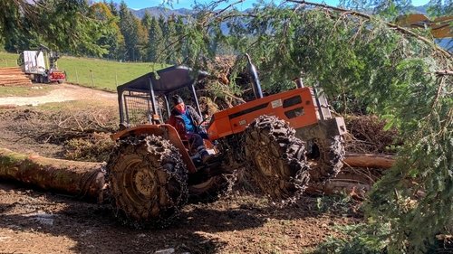 Poster della serie Undercut: l'oro di legno