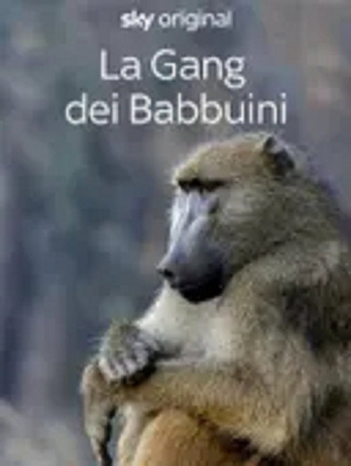 Gangs of Baboon Falls - Season 1 Poster Blur