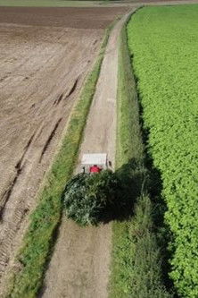 De toekomst van het Hemelrijk 2021 De toekomst van het Hemelrijk 2021