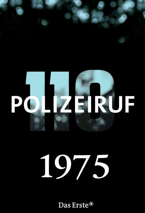 Where to stream Polizeiruf 110 Season 5