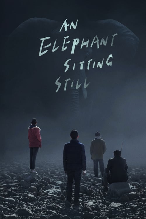 Grootschalige poster van An Elephant Sitting Still