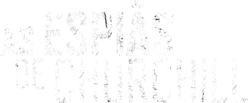 As Espiãs de Churchill - Logo 5
