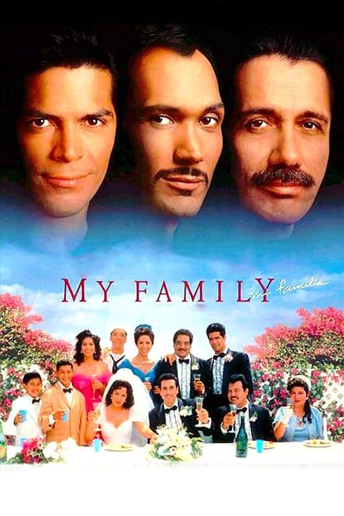 Mi familia poster