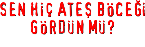 Sen Hiç Ateşböceği Gördün mü? - Tiyatro Oyunu