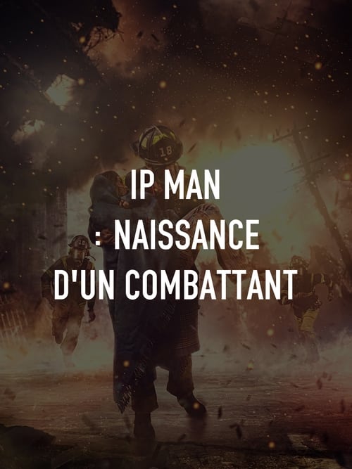 Image Ip Man : Naissance d'un combattant