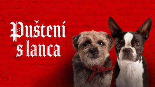 Ruim pra Cachorro — Fundos 18