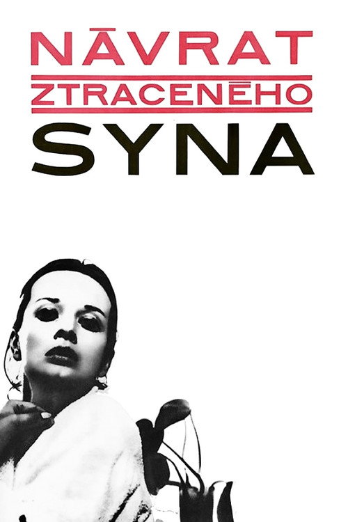 Návrat ztraceného syna