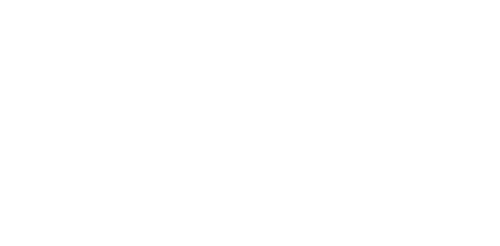 3 días