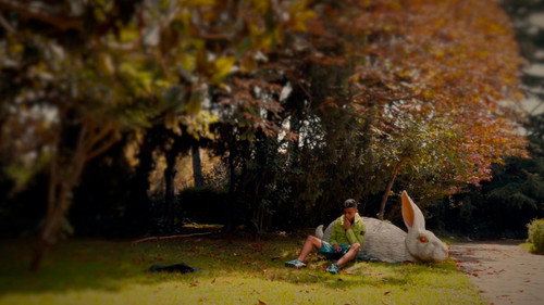 Mount Tropic, A Story of the Lockdown