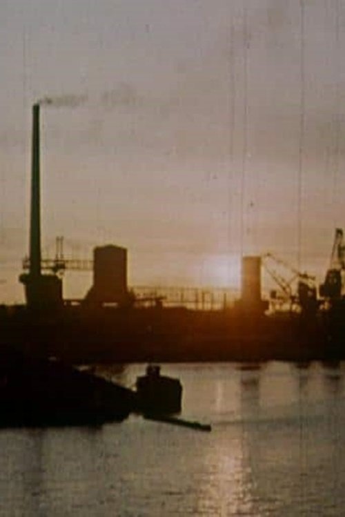 En gasfilm