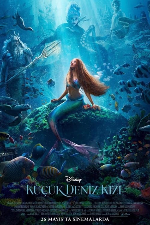 Küçük Deniz Kızı ( The Little Mermaid )