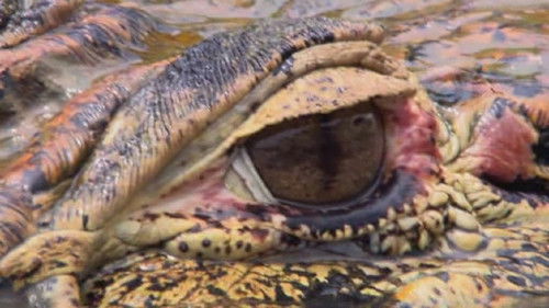 Escena del episodio 2 de la temporada 2 de The Powers That Be