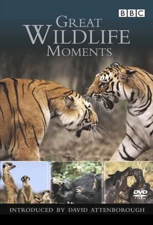 Great Wildlife Moments movie poster player