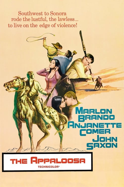 Image The Appaloosa (1966)