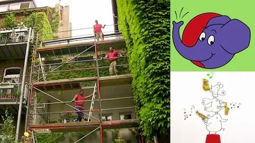 Image de l'épisode 312
