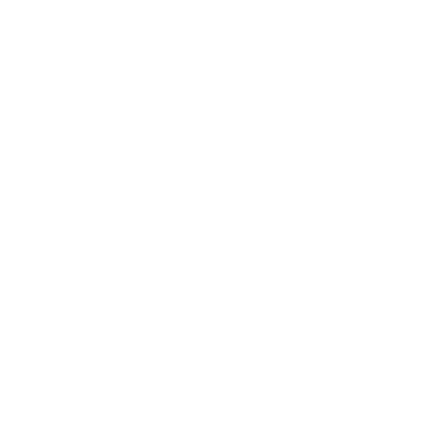 Maus