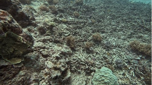 Image de l'épisode 5