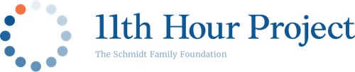The 11th Hour Project