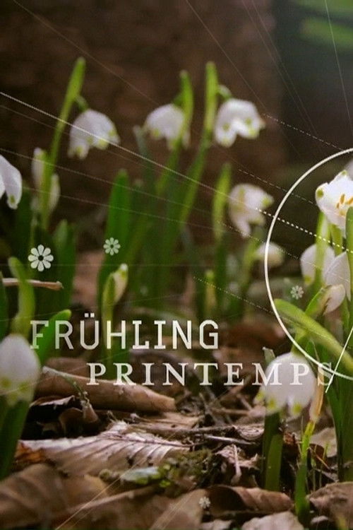 Season 1 (2015) - Season 1 poster and promotional image