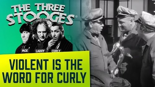 Violent Is the Word for Curly image 5