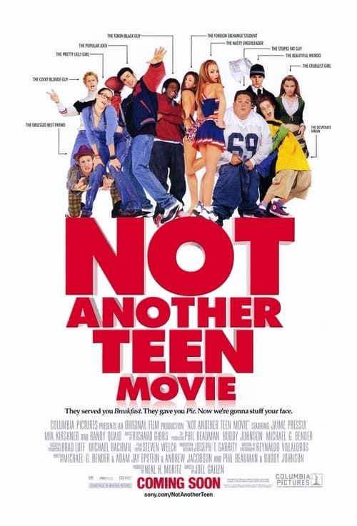 Not Another Teen Movie movie poster