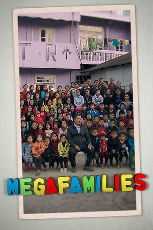 Megafamilies (2011) poster