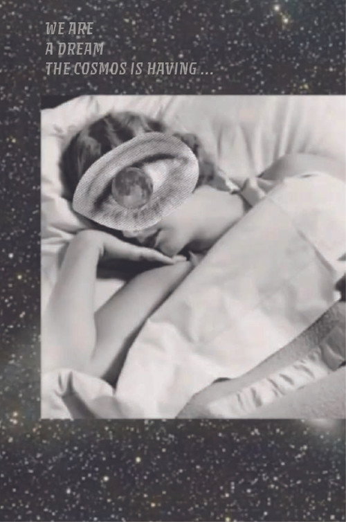 We Are a Dream the Cosmos is Having