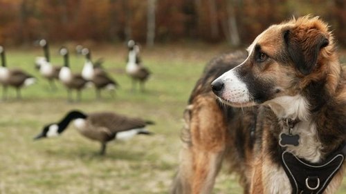 Image de l'épisode 2