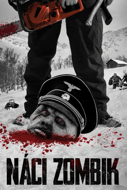 Dead Snow poster