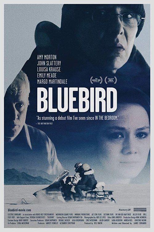 Bluebird poster