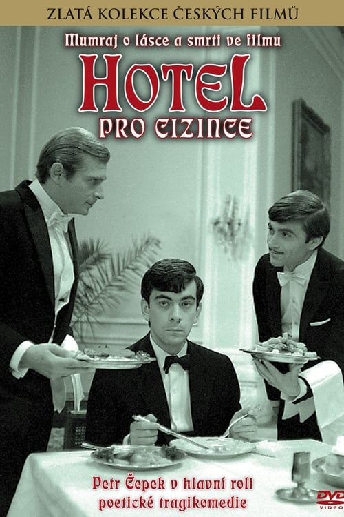 Poster Hotel pro cizince 1967