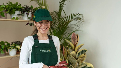 Plantmania - Season 1 Backdrop Blur