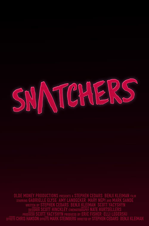 Snatchers, S01 - (2017)